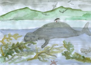 So könnte die Stellersche Seekuh ausgesehen haben