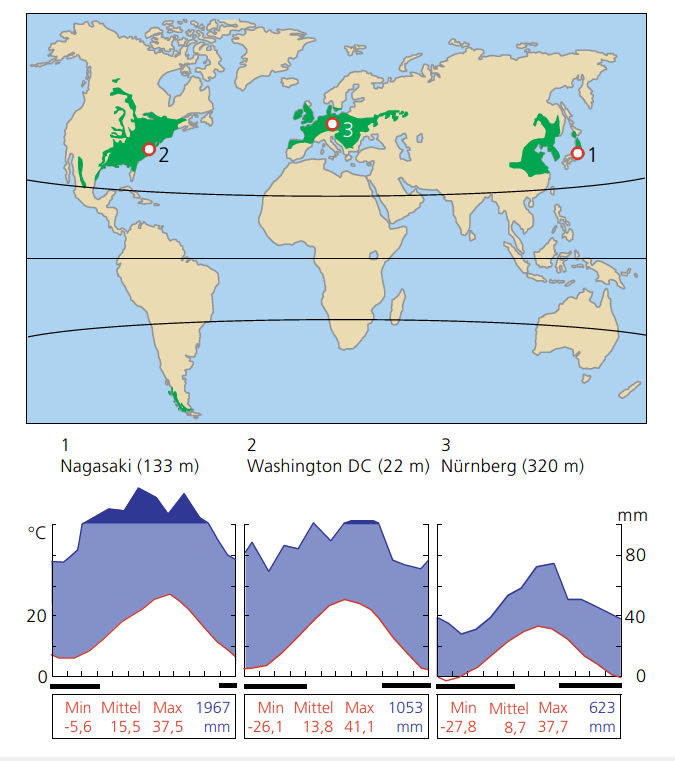 Laubwerfende Wälder der nördlichen gemäßgten Klimazone mit typischen Klimadiagrammen