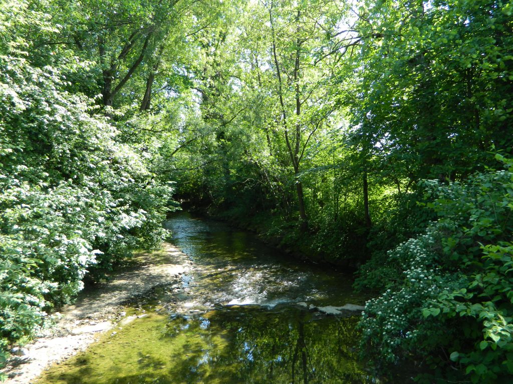 Rotach bei Oberteuringen